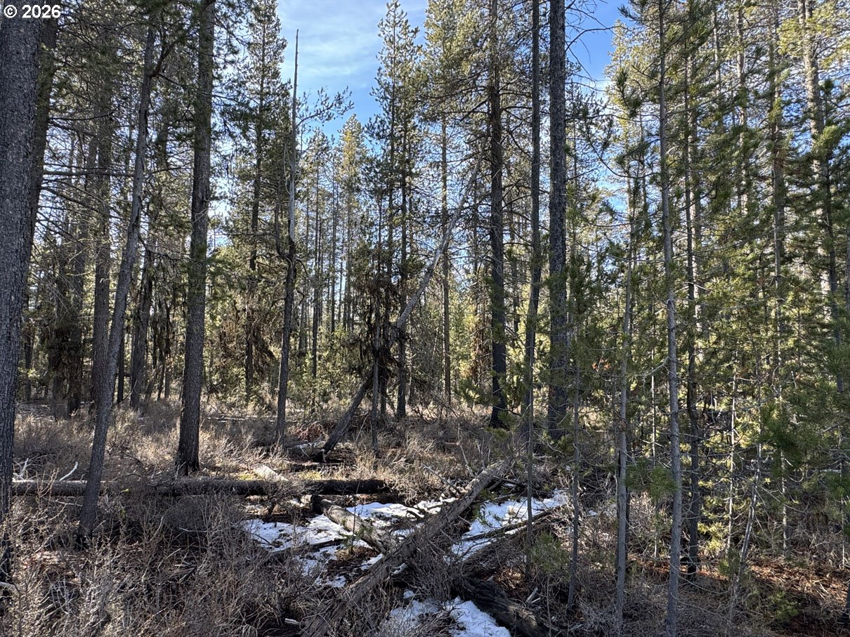 Keyser Circle, Unit 29 Chiloquin, OR 97624 - Photo 24 of 32