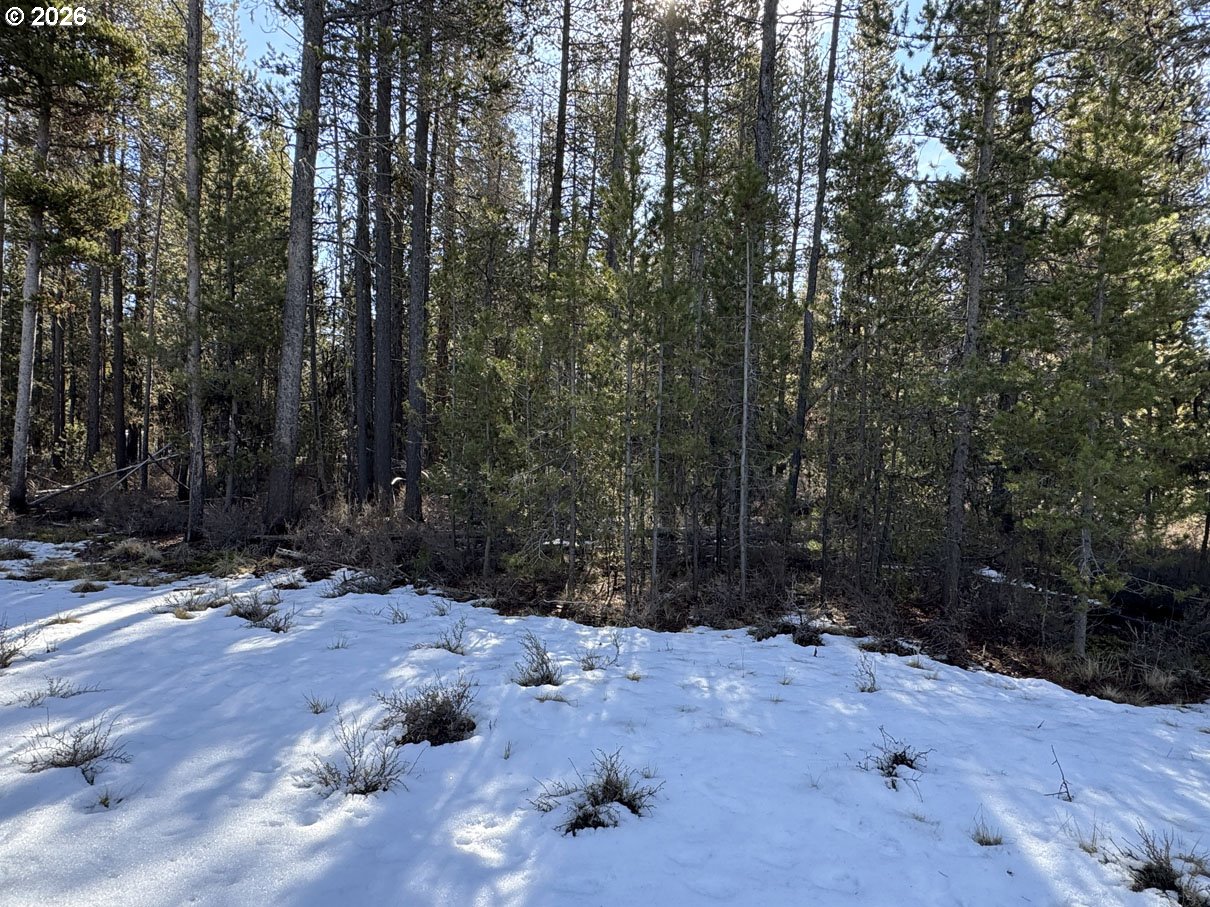 Keyser Circle, Unit 29 Chiloquin, OR 97624 - Photo 32 of 32