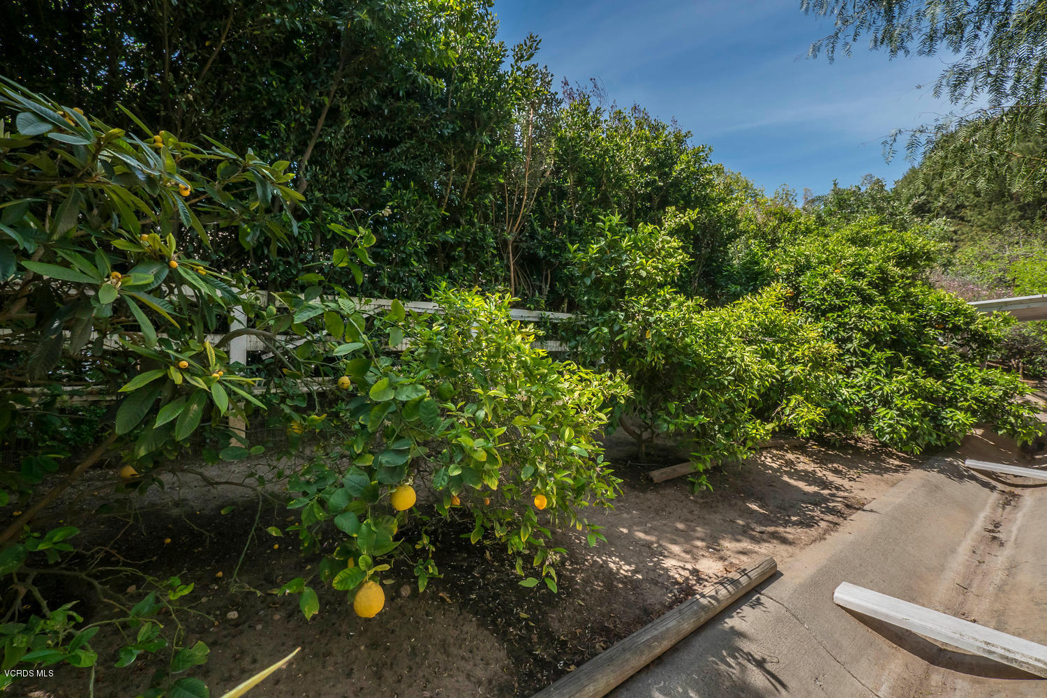 11112 Red Barn Road Camarillo, CA 93012 - Photo 53 of 54 a view of a garden with plants