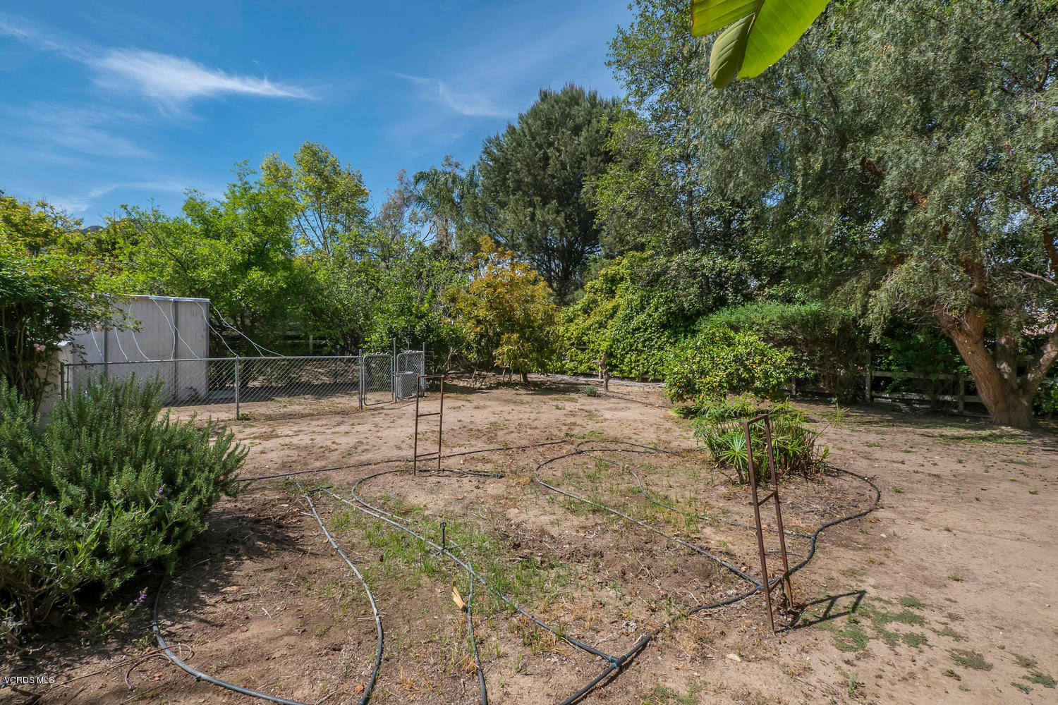 11112 Red Barn Road Camarillo, CA 93012 - Photo 54 of 54 a backyard of a house with lots of green space