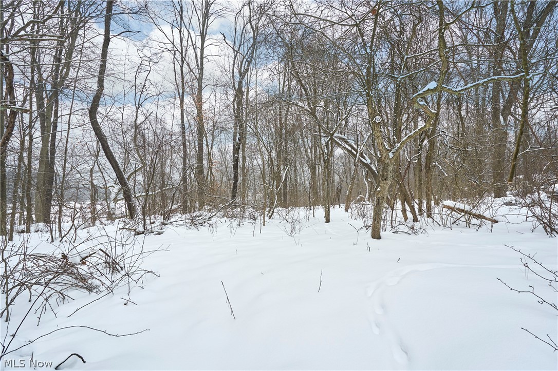 V/l Bainbridge Road Solon, OH 44139 - Photo 10 of 11