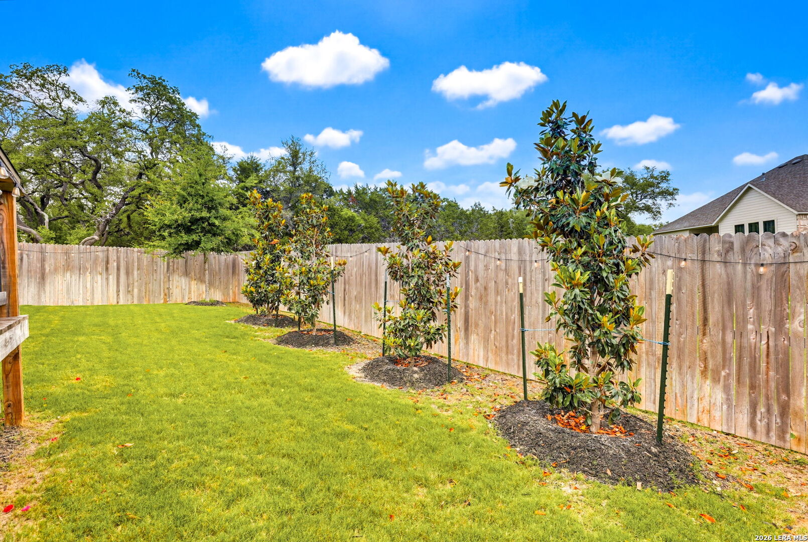 380 Sonata Canyon Spring Branch, TX 78070 - Photo 26 of 28