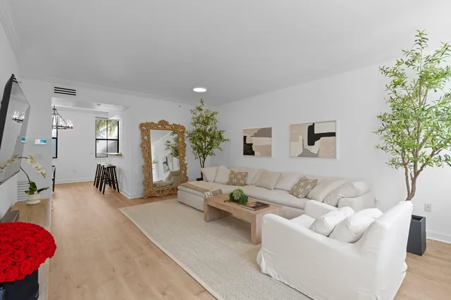 a living room with furniture and a potted plant
