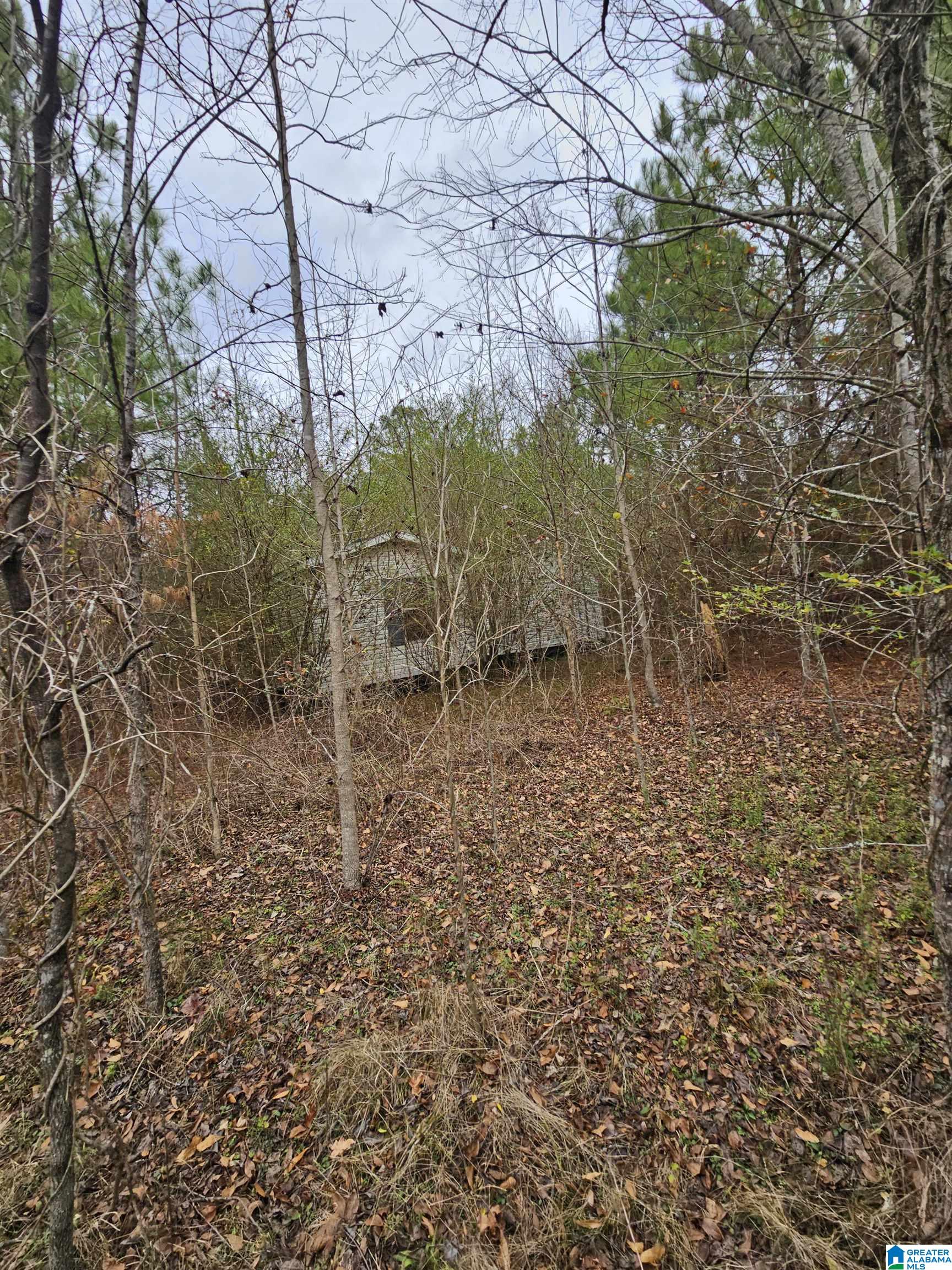 0 County Road 724 Calera, AL 35040 - Photo 7 of 18