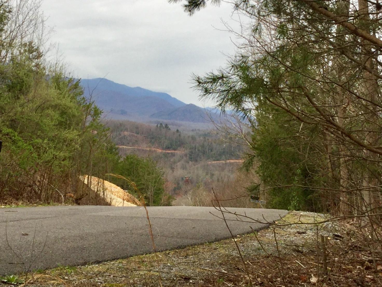 Liberty Road Cosby, TN 37722 - Photo 15 of 15 pic 2