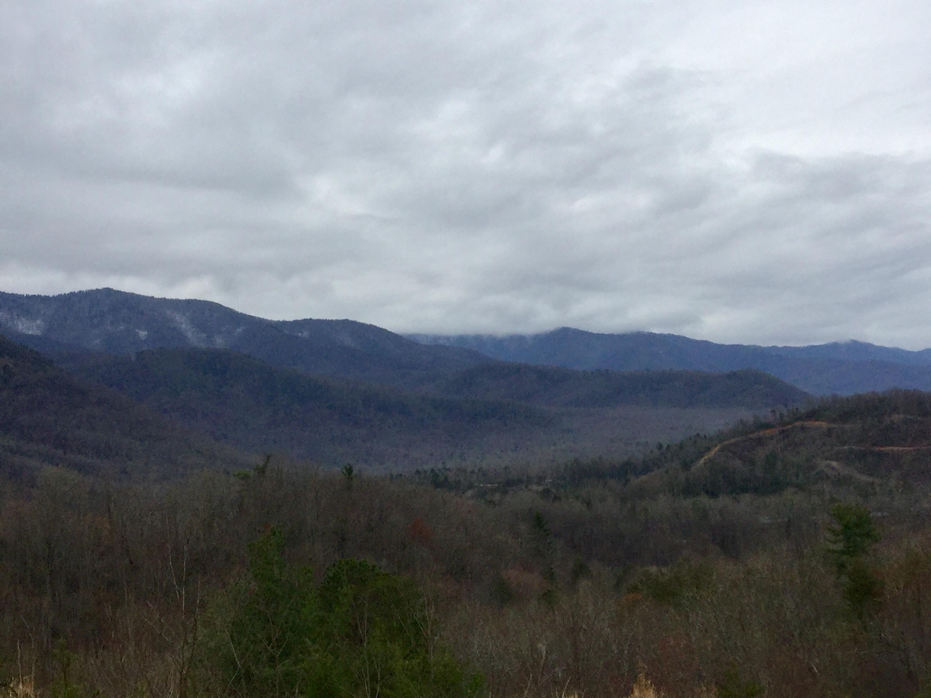 Liberty Road Cosby, TN 37722 - Photo 8 of 15 IMG_0169