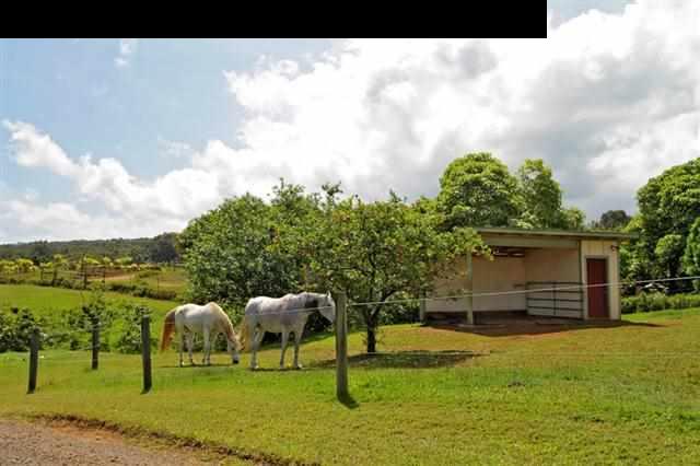 260 Awalau Road Haiku, HI 96708 - Photo 29 of 30 a view of a garden