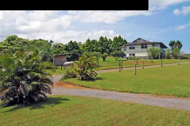 260 Awalau Road Haiku, HI 96708 - Photo 30 of 30 a view of a garden with a house