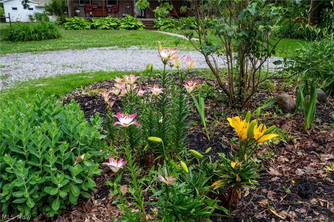 14027 Mayfield Road Huntsburg, OH 44046 - Photo 7 of 50 Flower garden to enjoy.