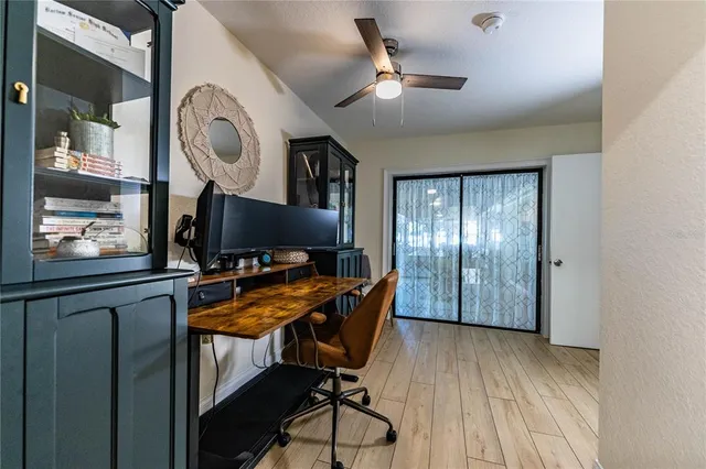 a view of a trees in a yard next to a house