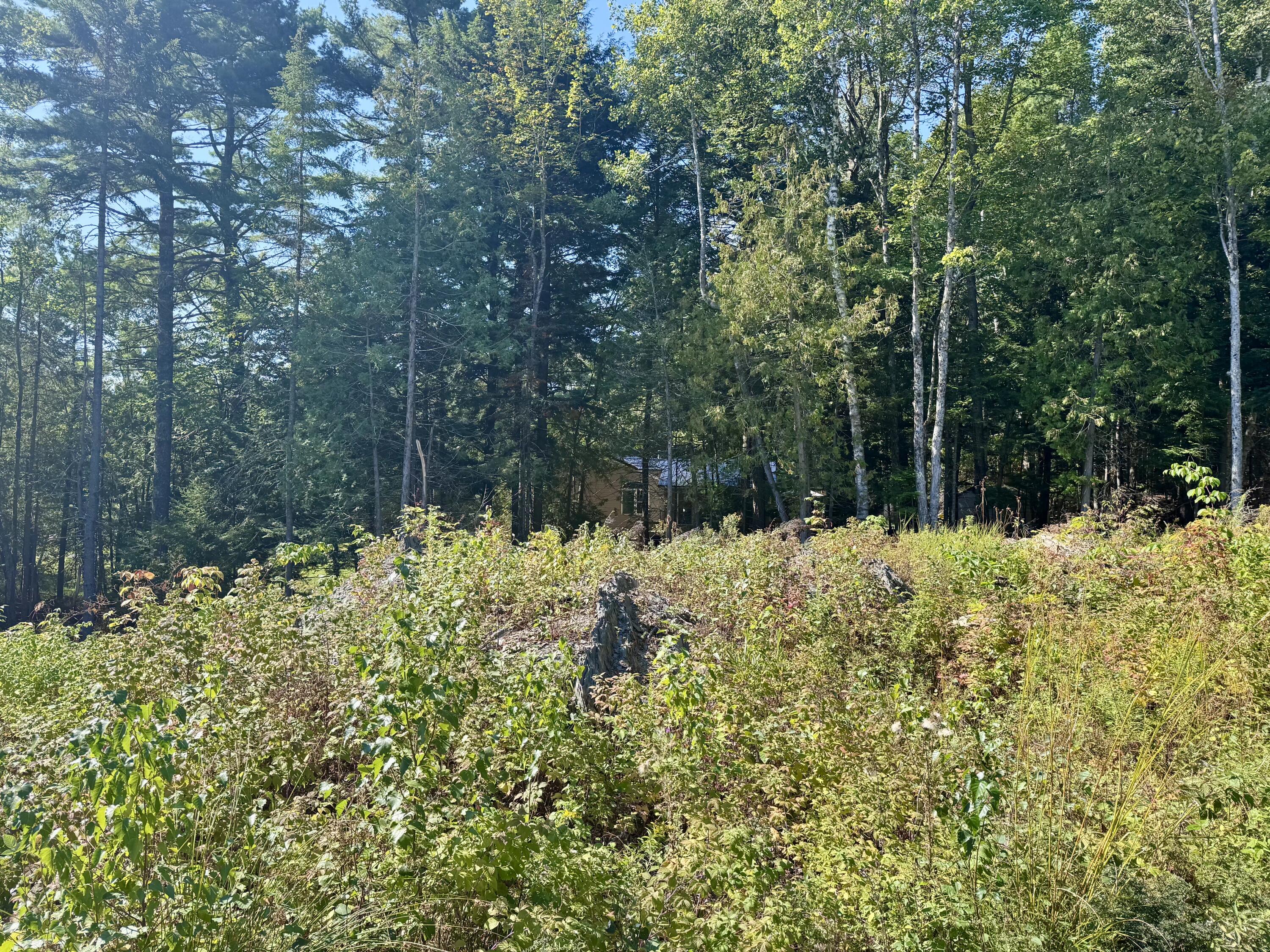 Lot 25 Pinetree Road Brewer, ME 04412 - Photo 5 of 12 FullSizeRender (7)