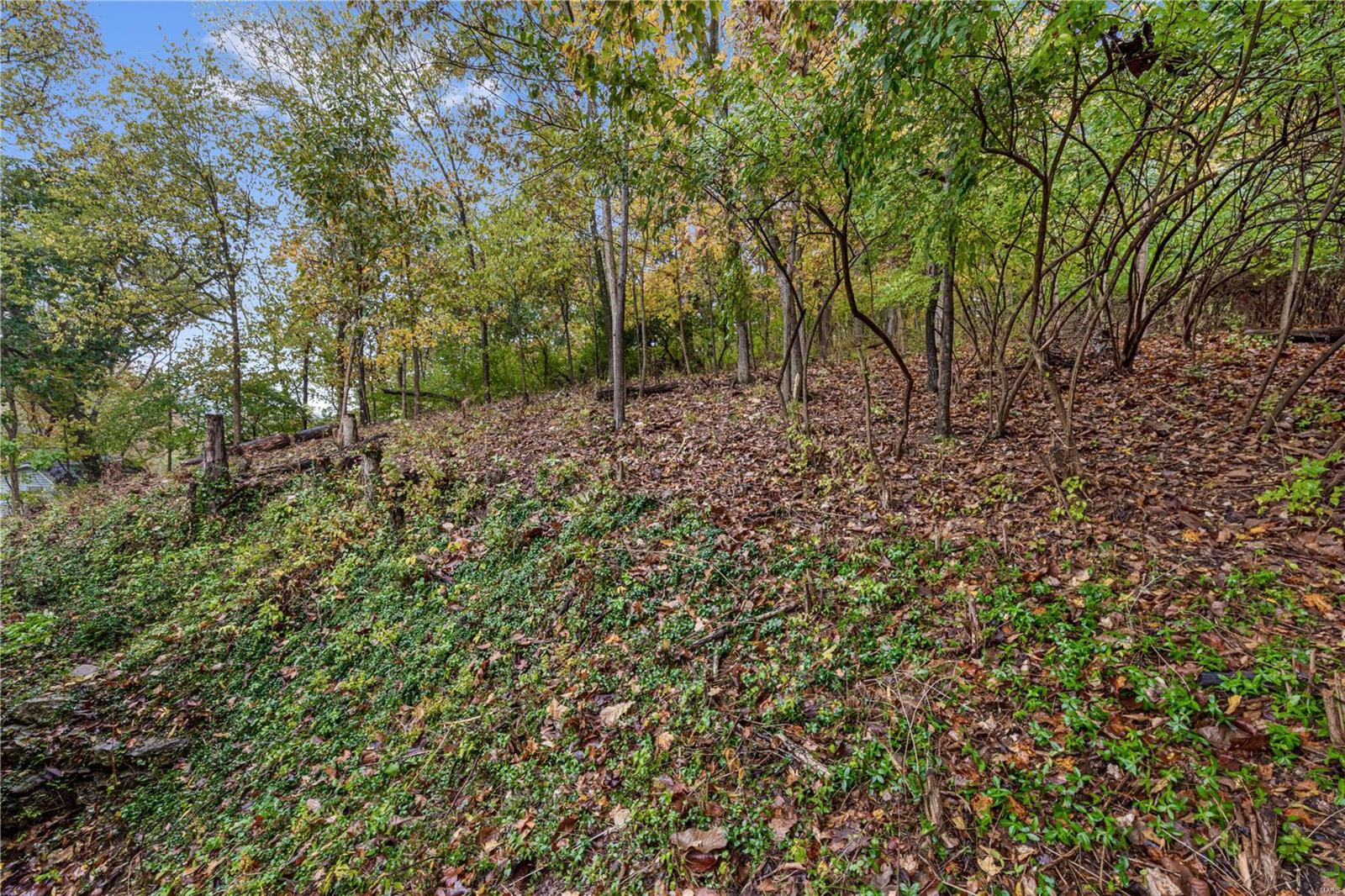 949 New Ballwin Road Ballwin, MO 63021 - Photo 6 of 27 Gallery Image 6
