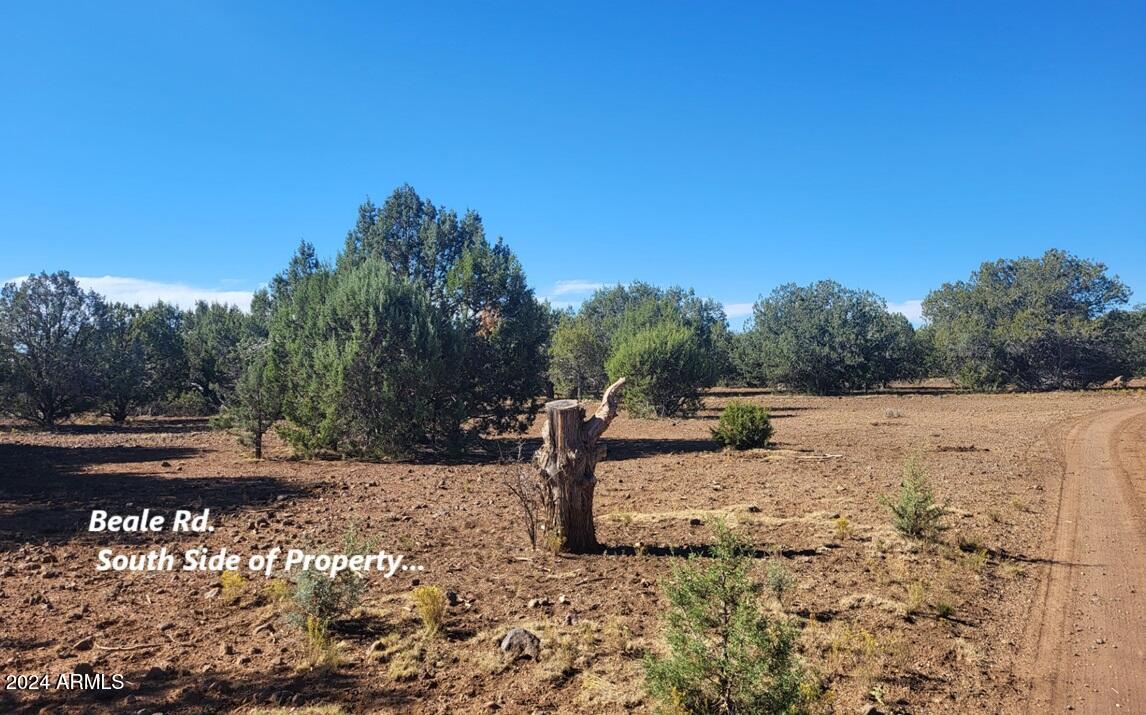 16727 Beale Wagon Road Williams, AZ 86046 - Photo 1 of 24 thumbnail_20241012_100601