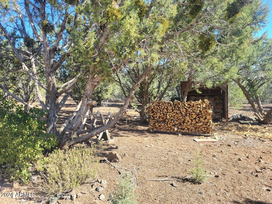 16727 Beale Wagon Road Williams, AZ 86046 - Photo 14 of 24 thumbnail_20241012_102016