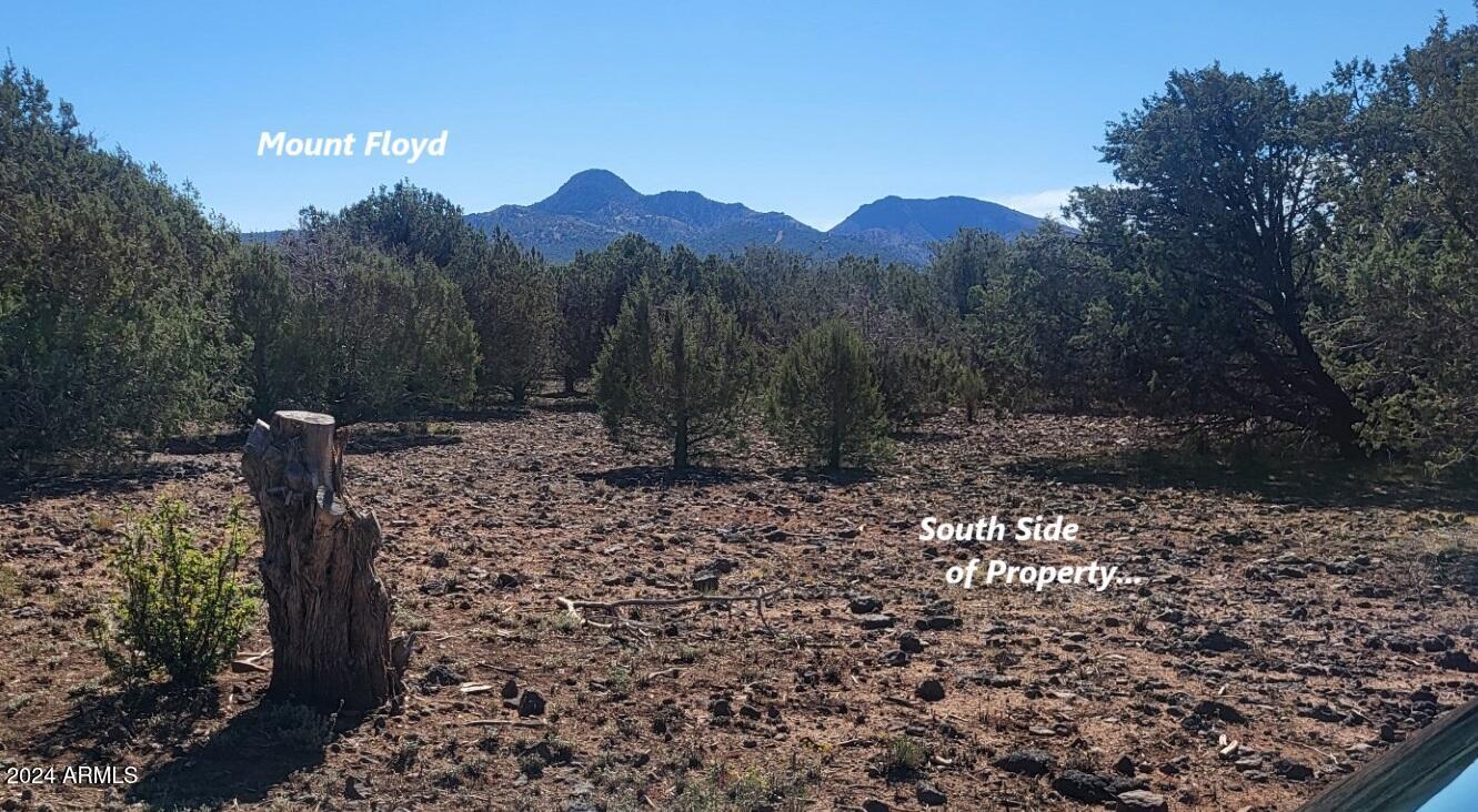 16727 Beale Wagon Road Williams, AZ 86046 - Photo 15 of 24 thumbnail_20241012_104300