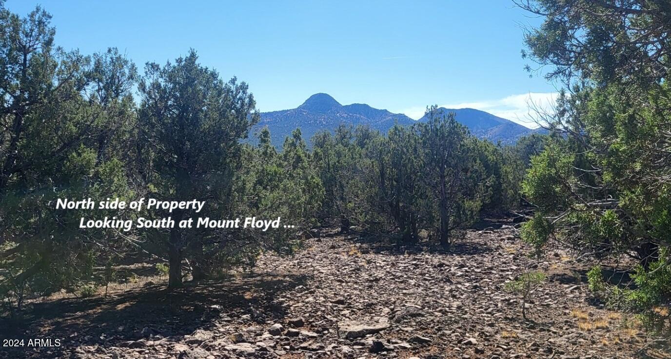 16727 Beale Wagon Road Williams, AZ 86046 - Photo 16 of 24 thumbnail_20241012_104724