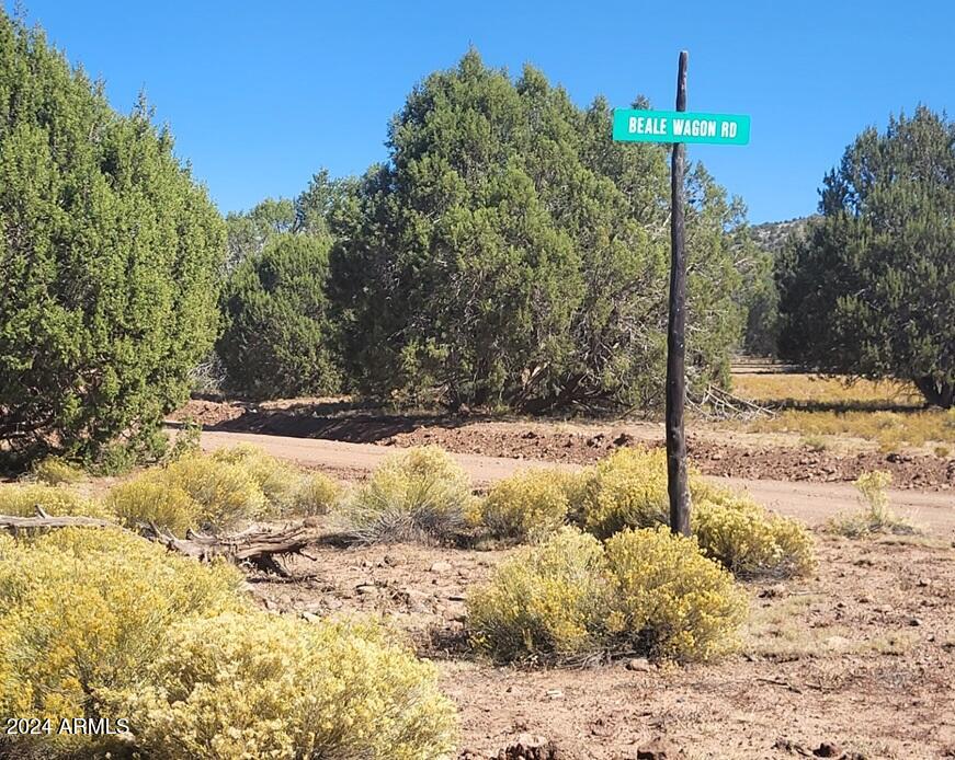 16727 Beale Wagon Road Williams, AZ 86046 - Photo 17 of 24 thumbnail_20241012_105623