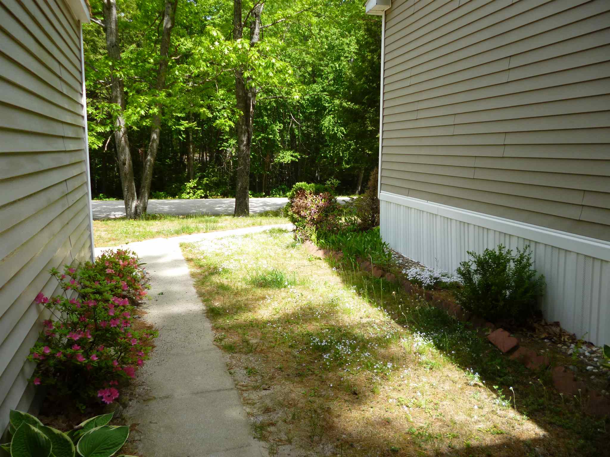 3 Harvey Brook Road Wolfeboro, NH 03894 - Photo 16 of 18 Gallery Image 16
