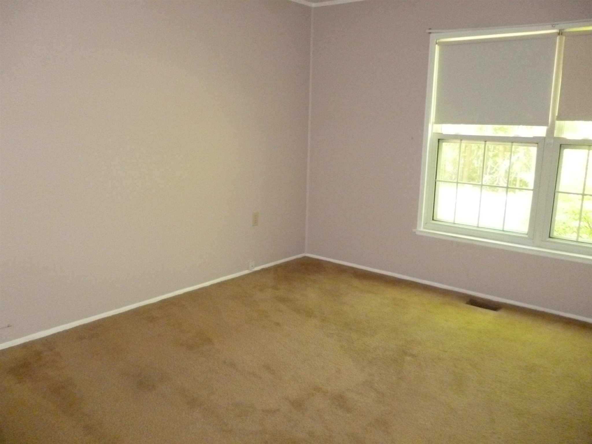 3 Harvey Brook Road Wolfeboro, NH 03894 - Photo 9 of 18 Gallery Image 9