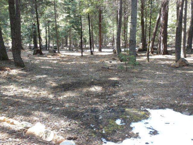 34635 Trail Blazer Road Shingletown, CA 96088 - Photo 9 of 9 Property