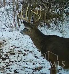 0 Brier Ridge Road West Union, OH 45693 - Photo 57 of 98