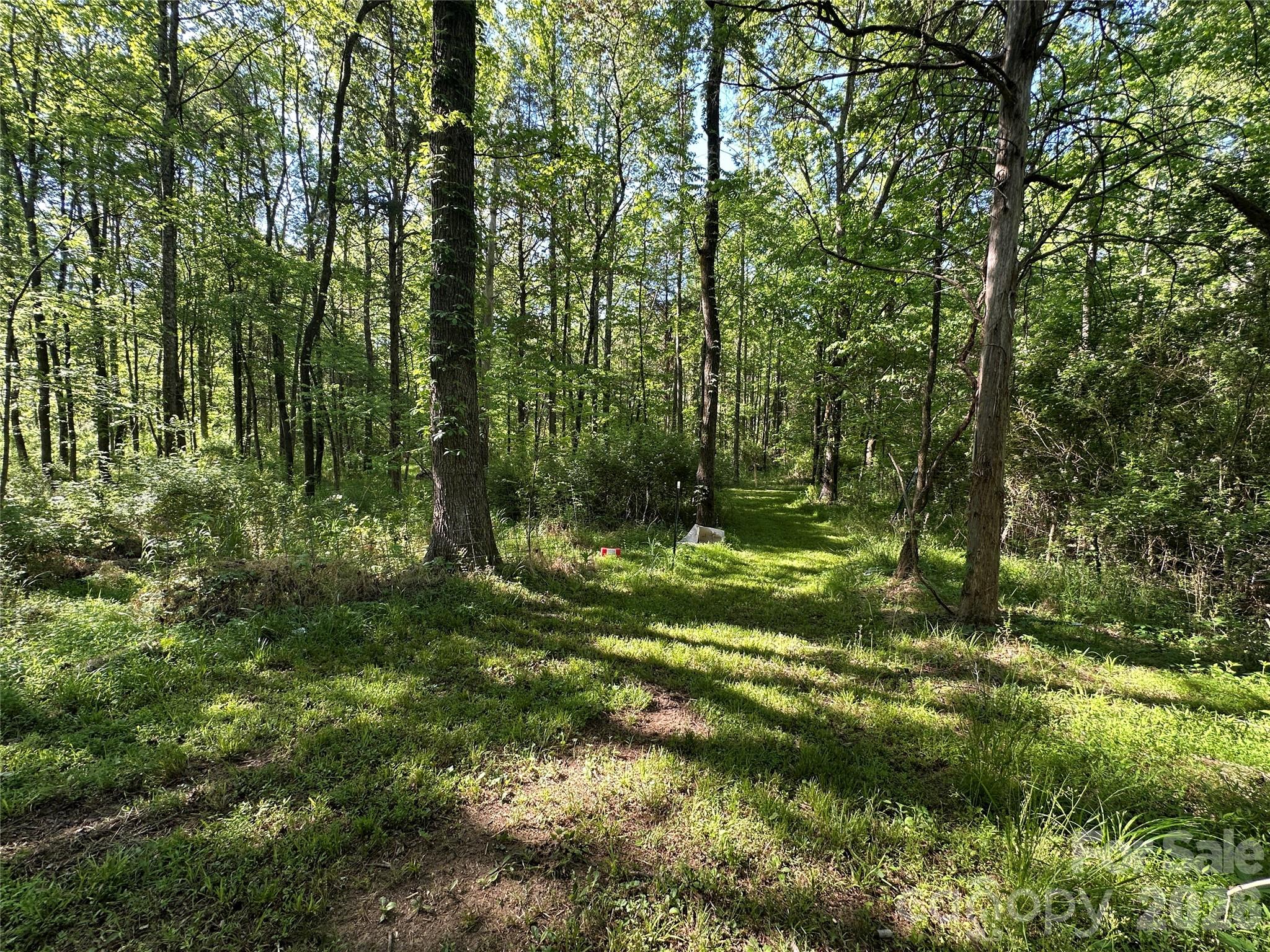 0 Bonkin Lake Road, Unit 3 Mocksville, NC 27028 - Photo 5 of 9 a view of outdoor space and green space