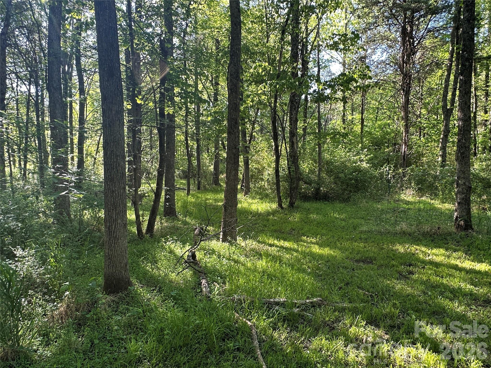 0 Bonkin Lake Road, Unit 3 Mocksville, NC 27028 - Photo 6 of 9 a view of outdoor space and green space