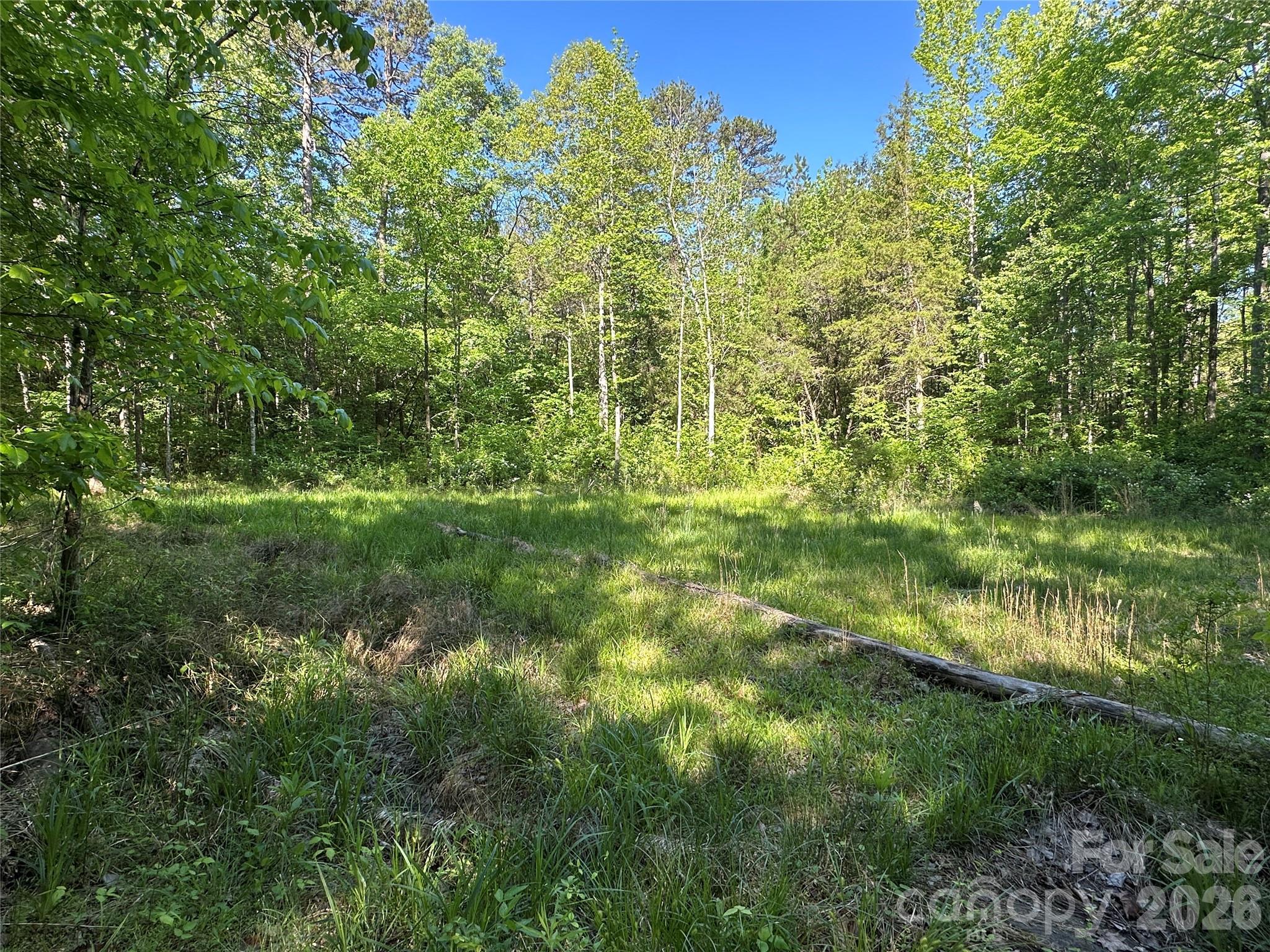 0 Bonkin Lake Road, Unit 3 Mocksville, NC 27028 - Photo 7 of 9 a view of a yard with plants and large trees
