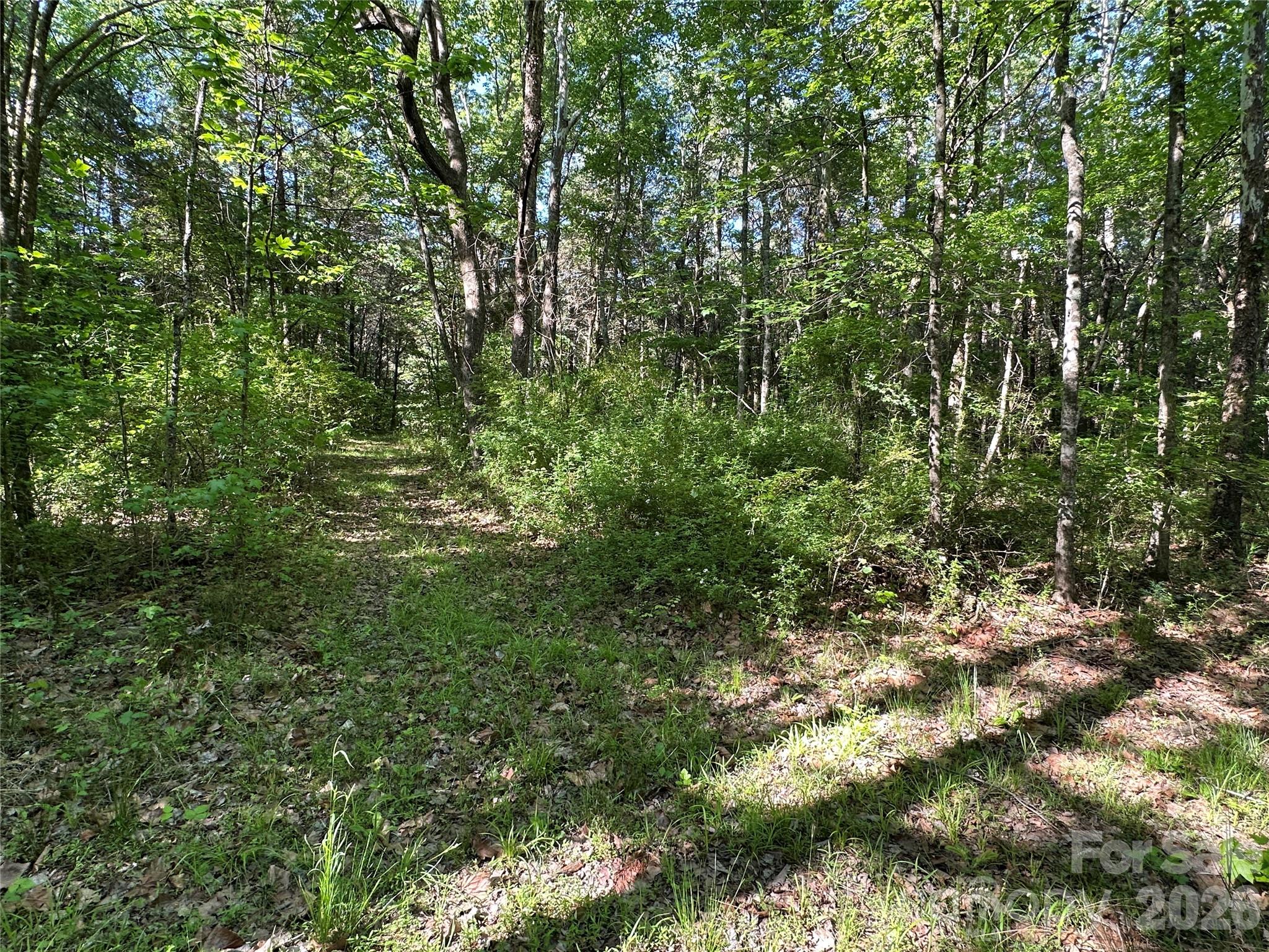 0 Bonkin Lake Road, Unit 3 Mocksville, NC 27028 - Photo 8 of 9 a view of a lush green forest