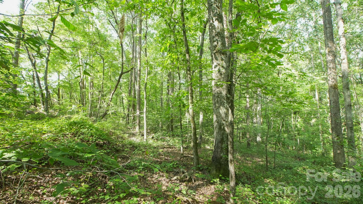 0 Beargrass Road Sherrills Ford, NC 28673 - Photo 9 of 12 Gallery Image 9