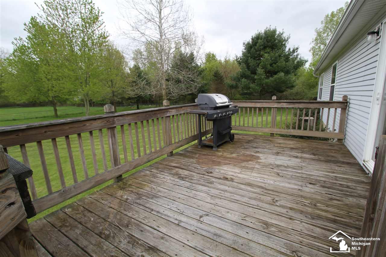 5371 Douglas Road Ida, MI 48140 - Photo 9 of 23
