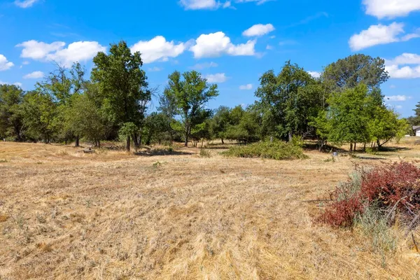 a view of outdoor space with trees
