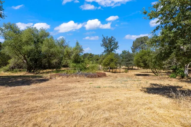a view of a yard with a tree