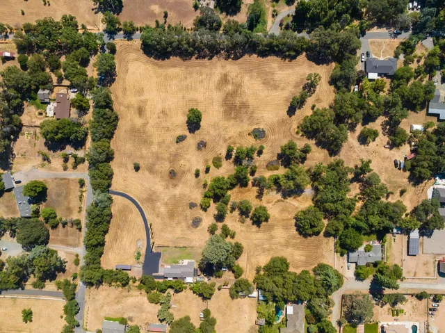 a picture of flowers