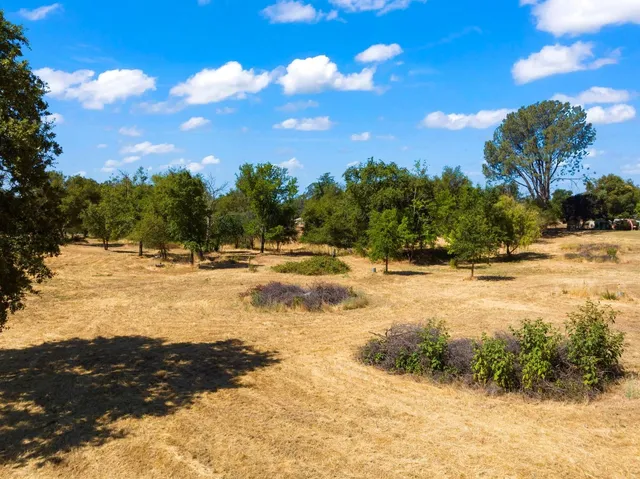 a view of outdoor space with trees