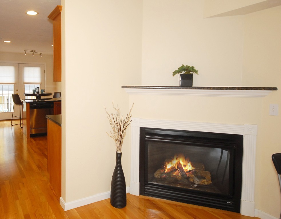 47 Alder Street, Unit 4 Waltham, MA 02453 - Photo 3 of 19