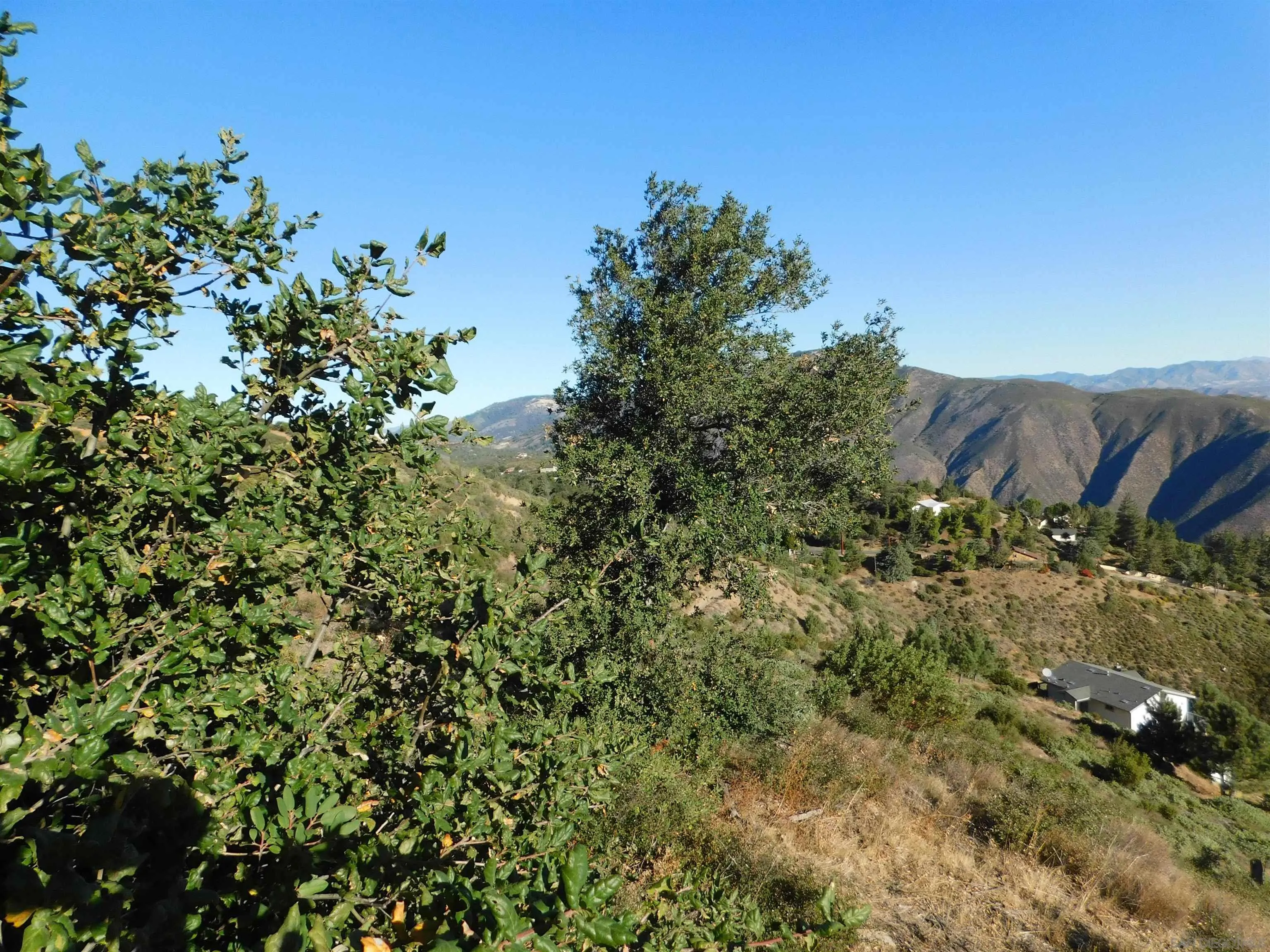 1.90-ac Mountain View Drive Julian, CA 92036 - Photo 11 of 19 a view of a bunch of plants and trees