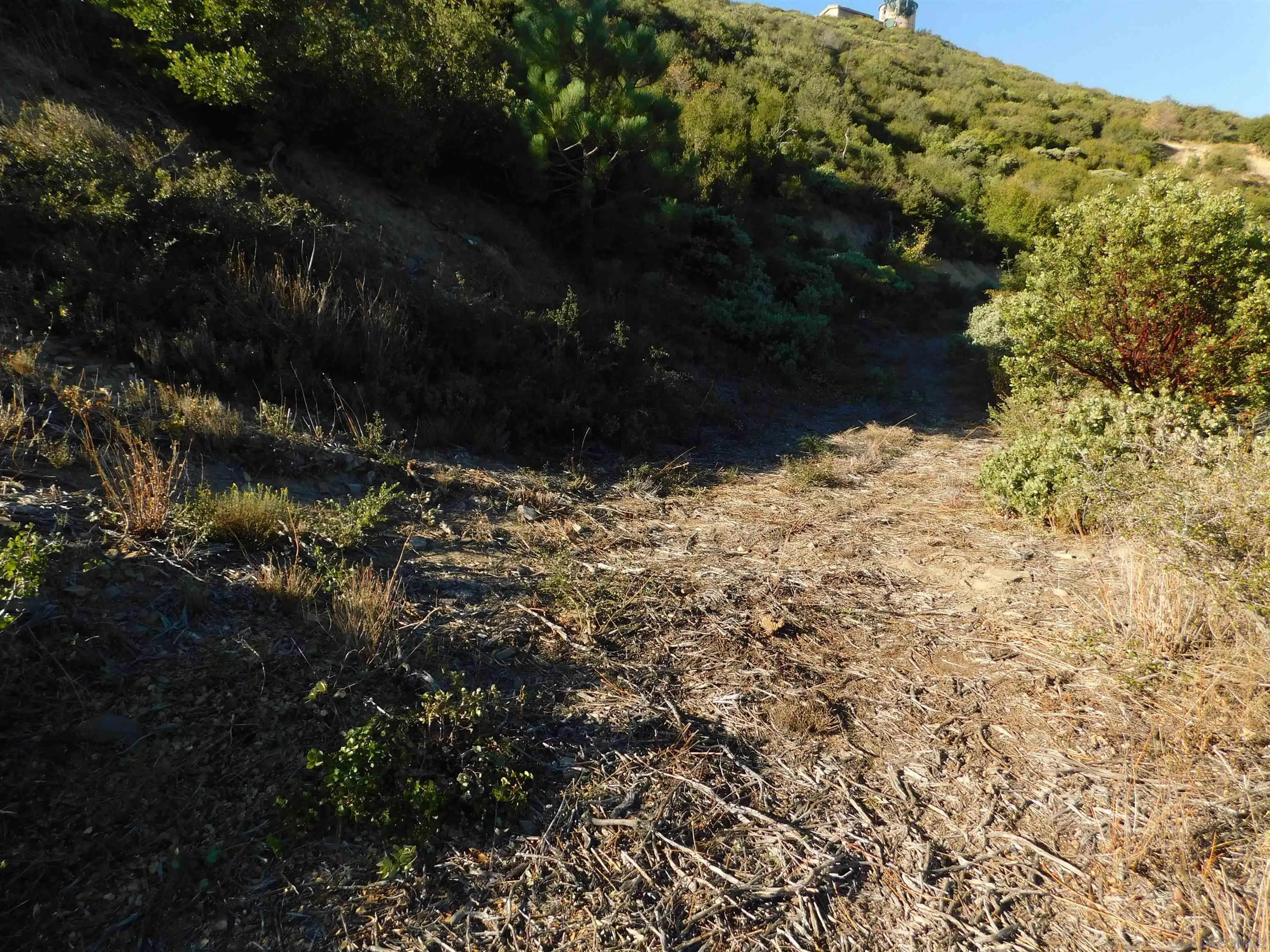 1.90-ac Mountain View Drive Julian, CA 92036 - Photo 12 of 19 a view of a yard