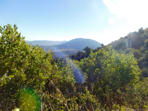 $60,000 | 1.90-ac Mountain View Drive, Julian, CA 92036