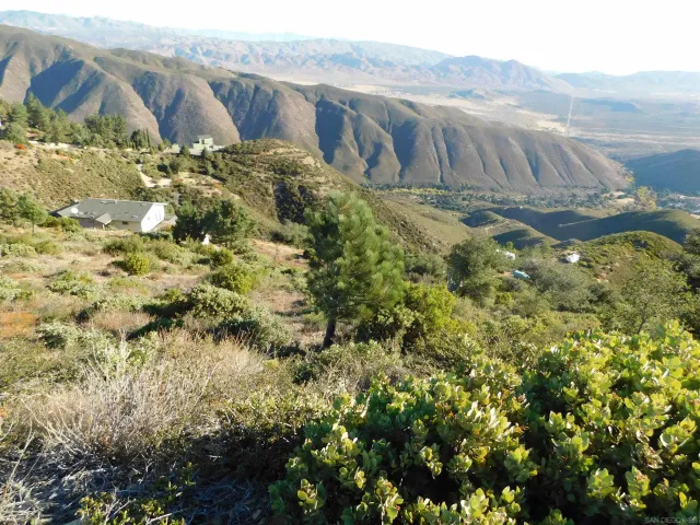 a view of a yard with plants