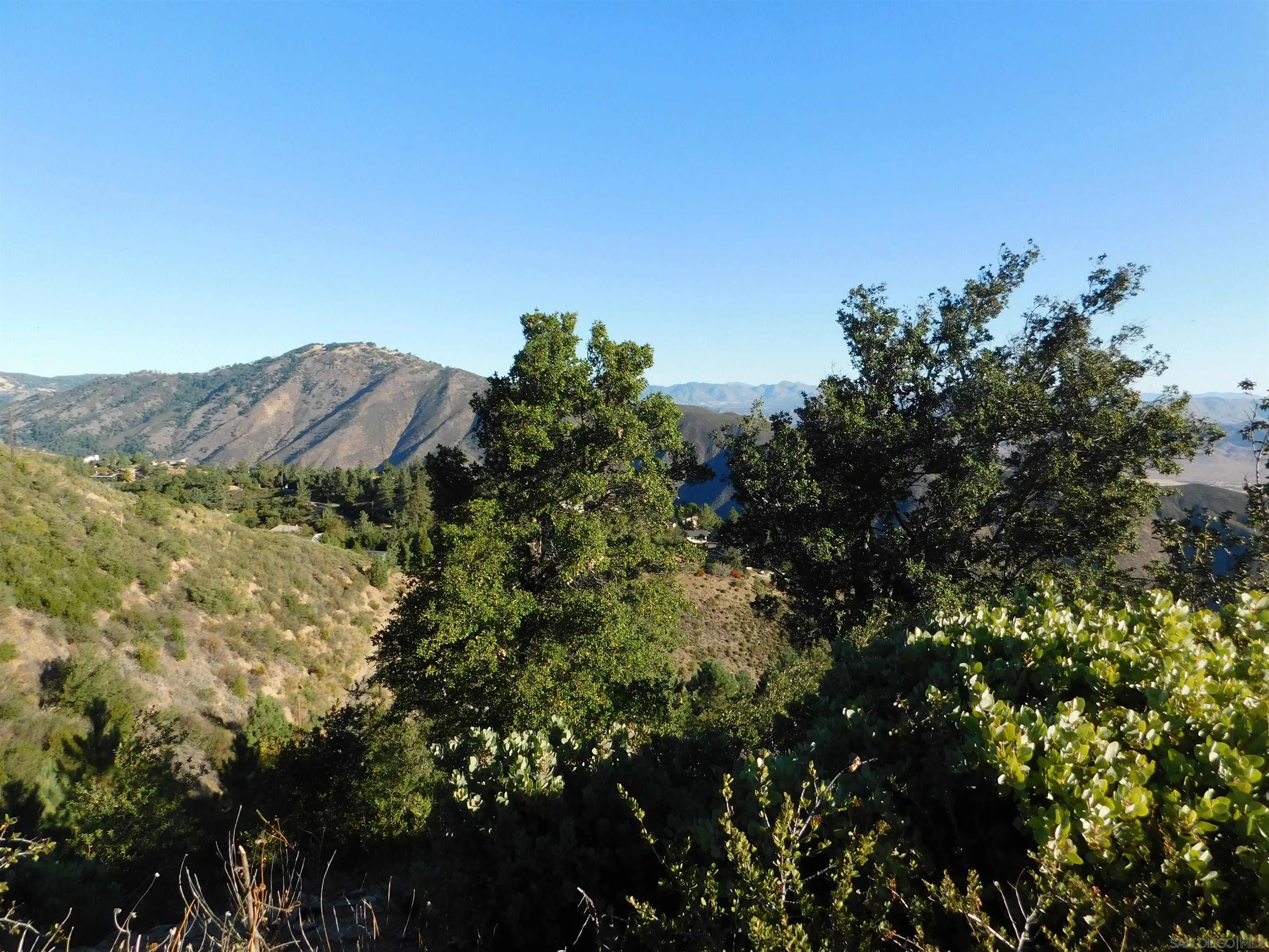 1.90-ac Mountain View Drive Julian, CA 92036 - Photo 10 of 19 a view of a tree in a field with a tree in the background