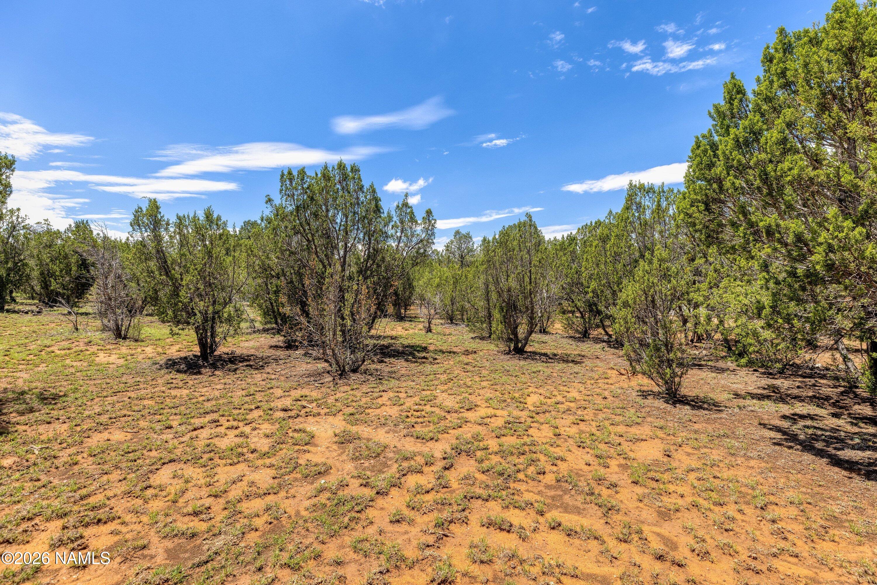 2277 Sunrise Road Overgaard, AZ 85933 - Photo 8 of 14 2277 Sunrise Rd (8)