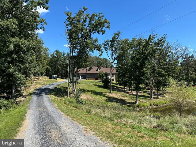a view of a park with large trees