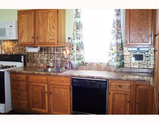 109 High Street Rices Landing, PA 15357 - Photo 6 of 13 Kitchen.