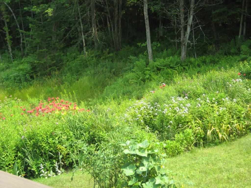 206 Robert Young Road Starksboro, VT 05487 - Photo 14 of 34