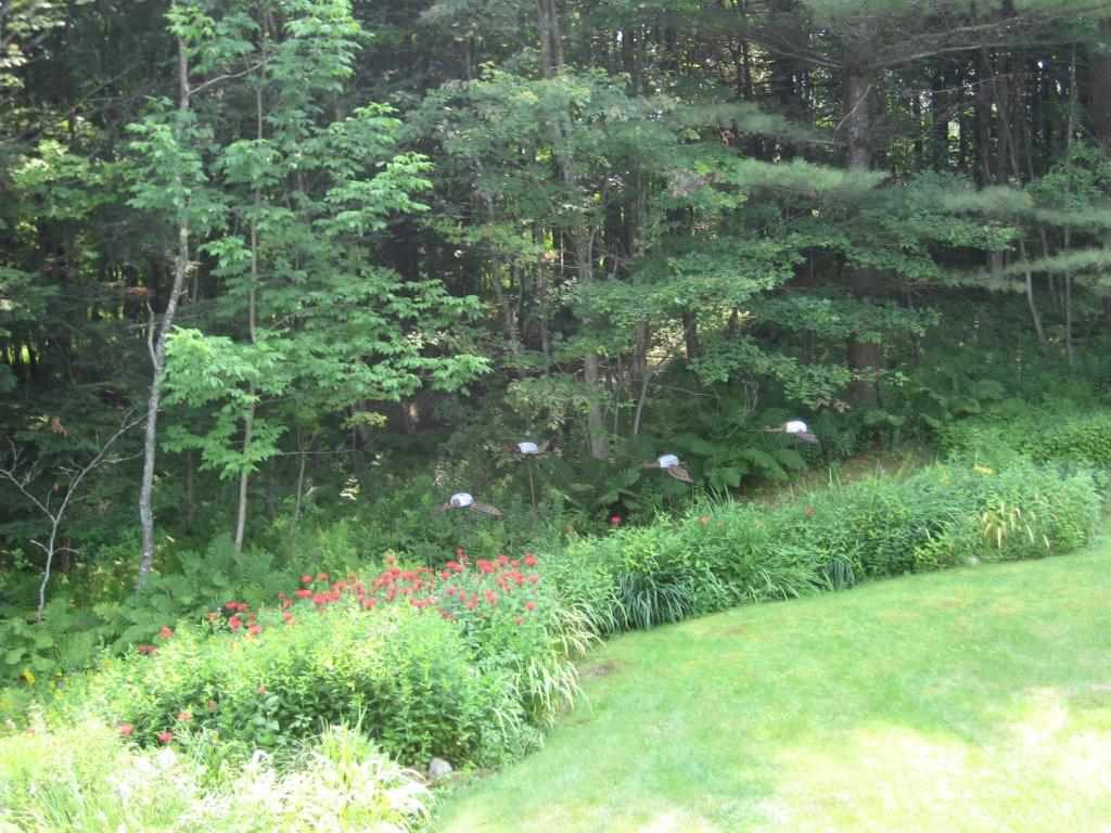 206 Robert Young Road Starksboro, VT 05487 - Photo 15 of 34