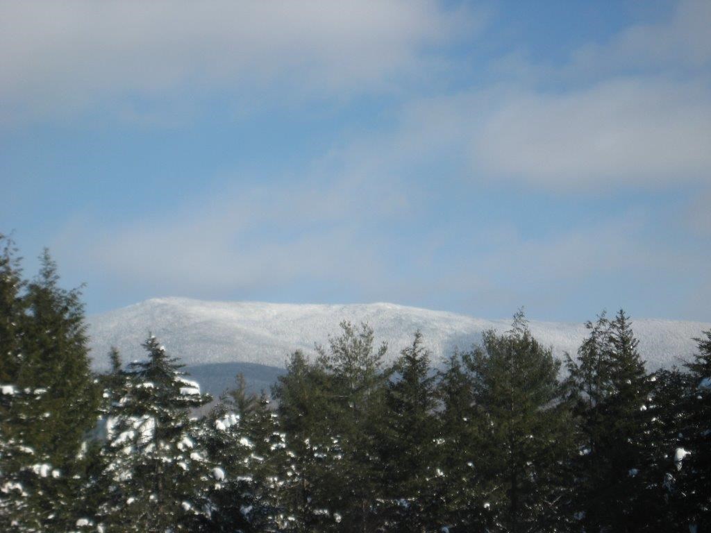 206 Robert Young Road Starksboro, VT 05487 - Photo 4 of 34