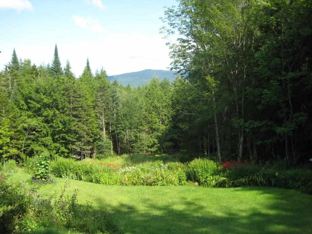 206 Robert Young Road Starksboro, VT 05487 - Photo 7 of 34