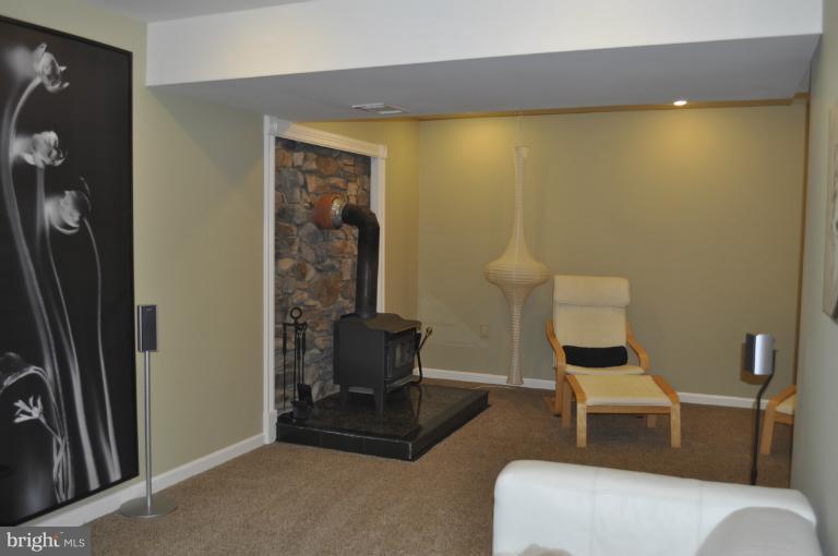 6727 West Lakeridge Road New Market, MD 21774 - Photo 22 of 26 Basement