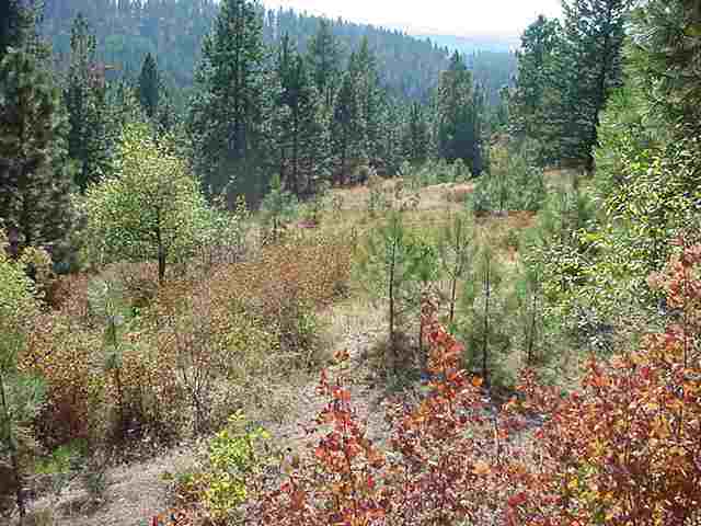 0 East Emery Road Chattaroy, WA 99003 - Photo 2 of 9